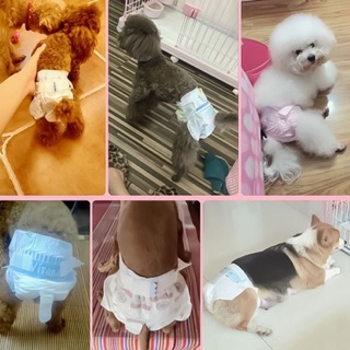 Bỉm cái dono cho chó mèo