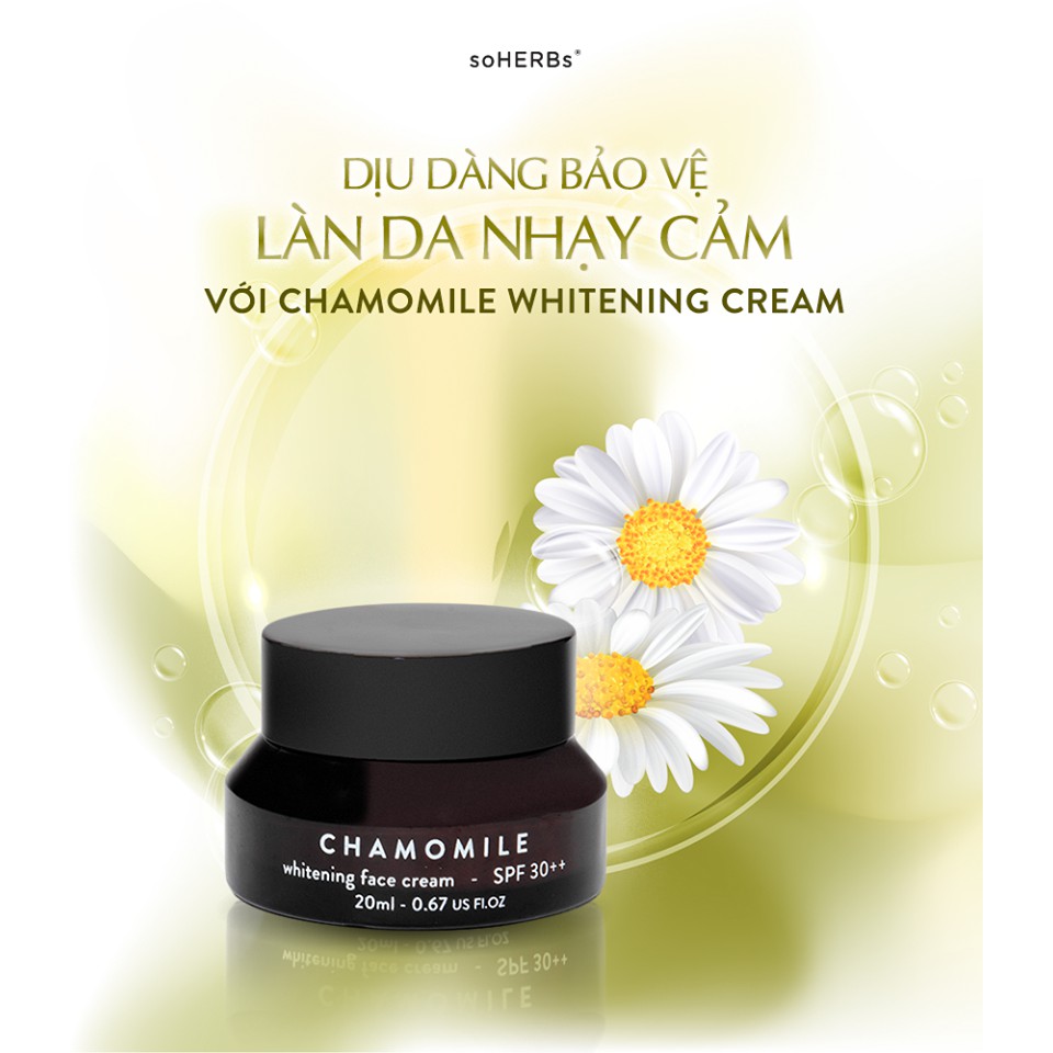 Kem CHAMOMILE cúc la mã dưỡng trắng (20ml)