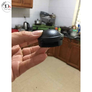 Viên diệt gián nhật
