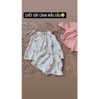 vải xô muslin gấu nâu nền be