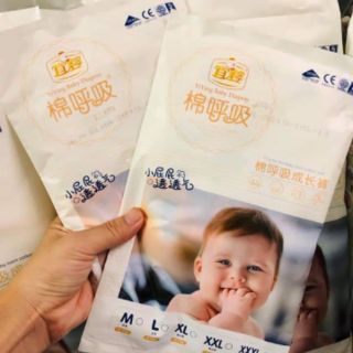 Bỉm/tã quần Yiying_M60/L52/XL44/XXL36