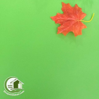 Phông nền chụp hình - giấy dán tường màu xanh lá cây nhạt - [ 50cm x khổ 1,2m ] - thảm chụp hình ảnh sản phẩm