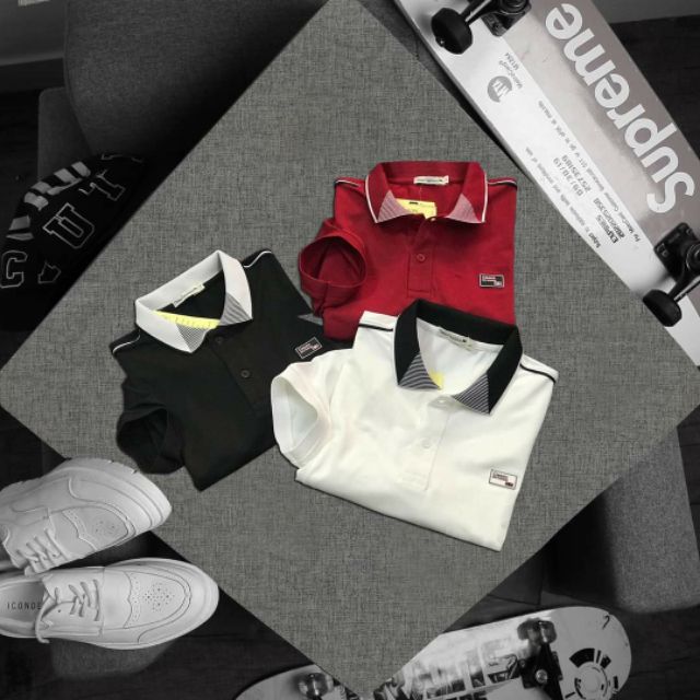 Áo thun classic cổ bẻ mới