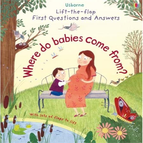 Sách - Anh: Lift the flap Where do babies come from?