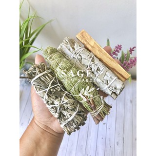 Thánh Thảo Mộc (Yerba Santa)_SAGE GARDEN