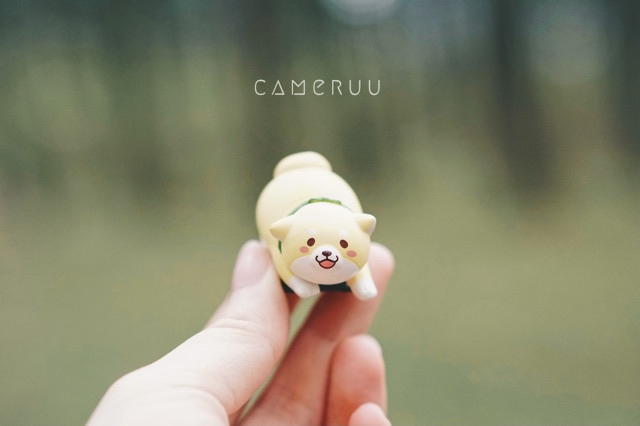 Hotshoe cover cho máy ảnh Cún Shiba
