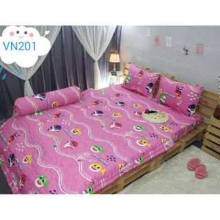 Bộ drap giường Cotton kèm mền