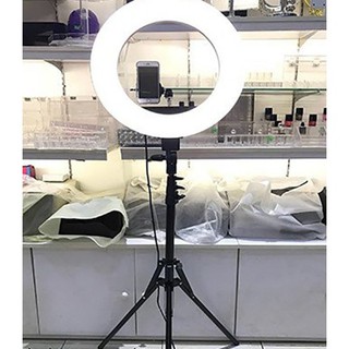 CHÂN KẸP MICRO LIVESTREAM 3 CHÂN RING FILL LIGHT 26CM LỚN DZ666