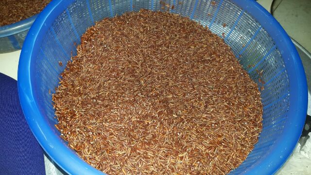 (1kg) Gạo lứt rang (trà gạo lứt) | BigBuy360 - bigbuy360.vn