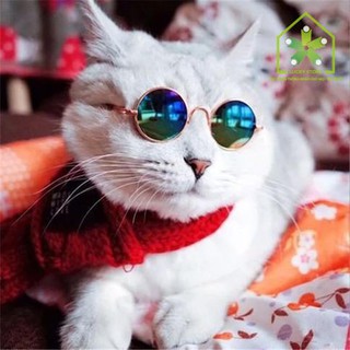 Kính Mắt Cho Thú Cưng Cá Tính (Giao Màu Ngẫu Nhiên) LTC1001