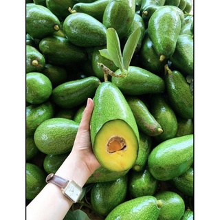 Bơ Sáp DakLak Bao Dẻo Bao Ngon