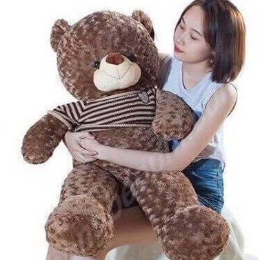 GẤU BÔNG TEDDY BEAR (60cm)