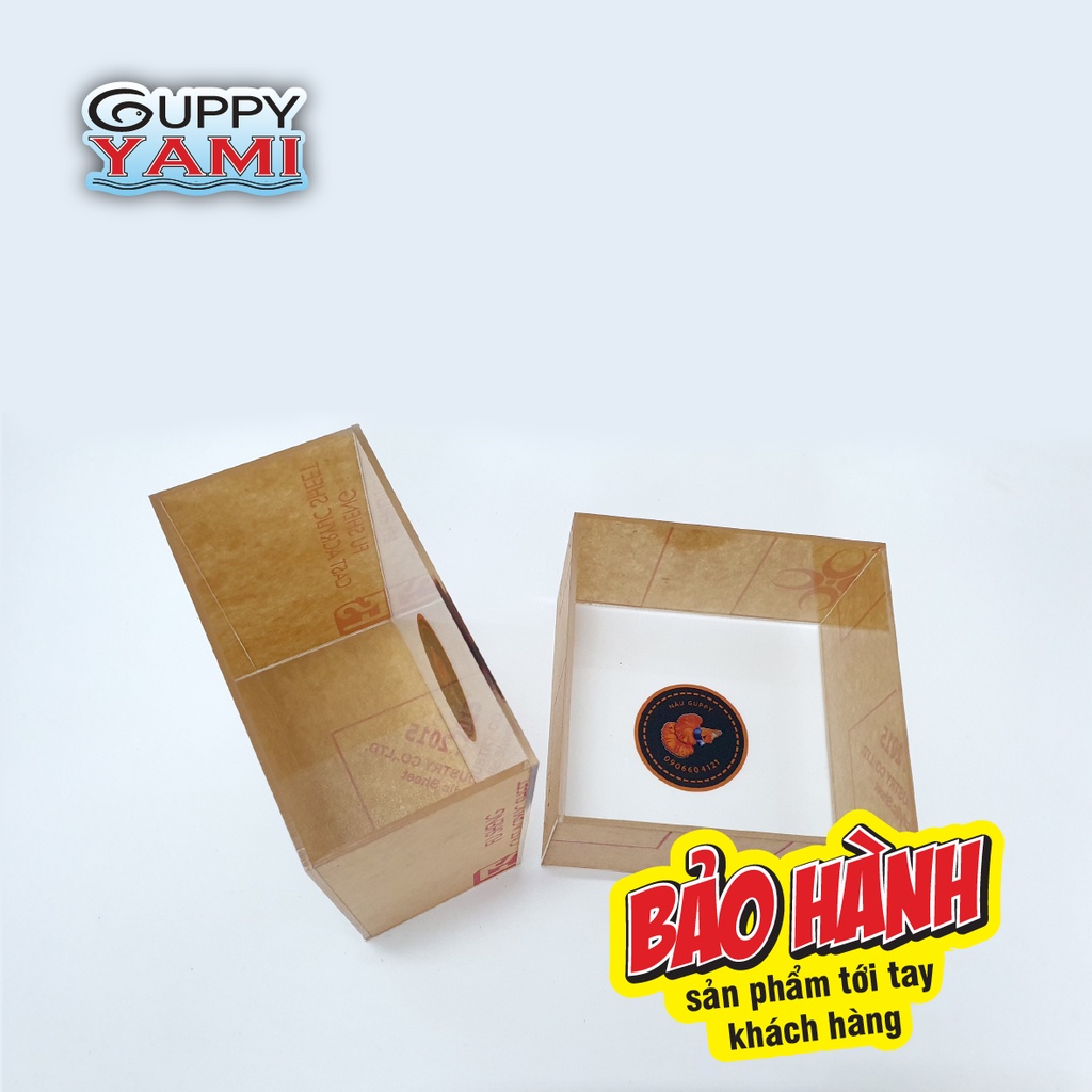 Hồ Show cá - Bể Show cá Guppy - Keo Show cá Betta in tên theo yêu cầu, giá tại xưởng, kích thước 15x8x15cm
