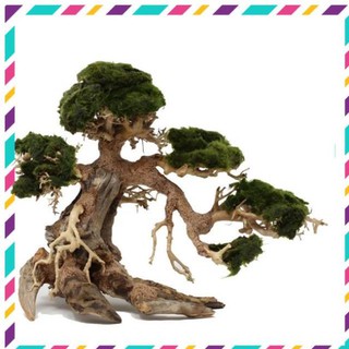 [ Rẻ ] Lũa Bonsai mini cho bể cá thủy sinh 25x20