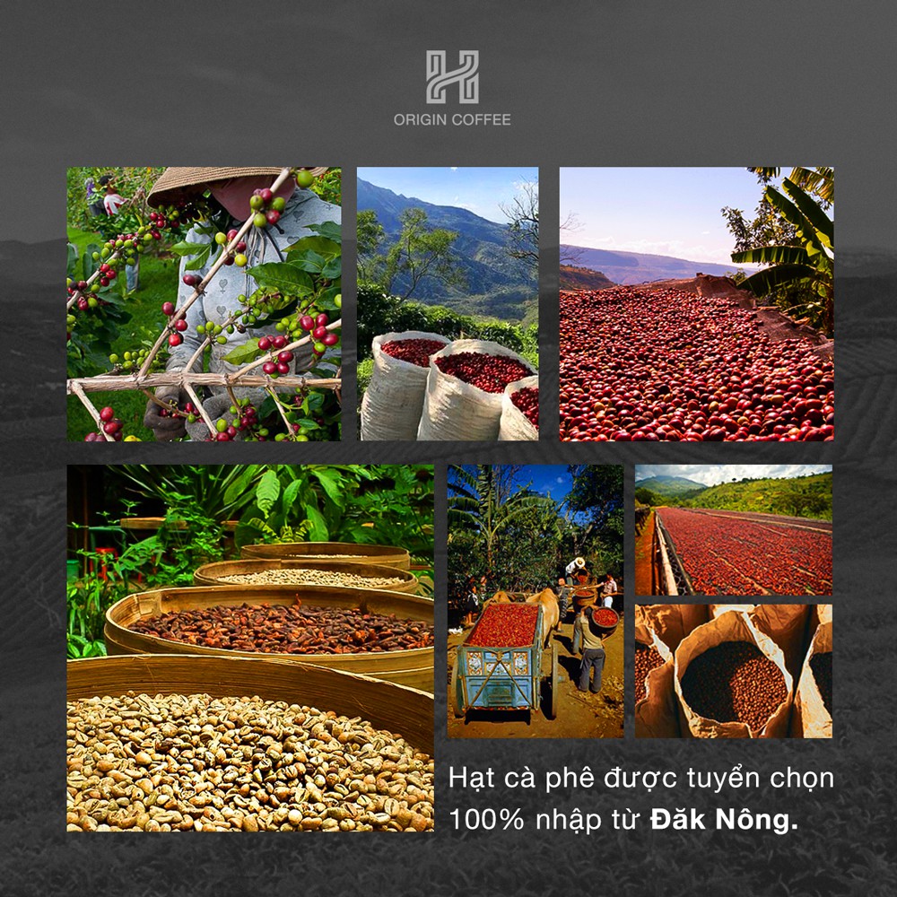 Cà phê rang xay pha phin gu vị Nhẹ Nhàng, cafe nguyên chất mộc sạch arabika robusta culi 100% H Origin Coffee, 500g | BigBuy360 - bigbuy360.vn