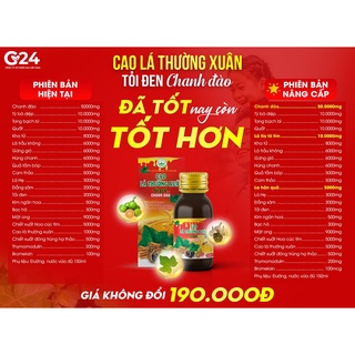 CAO LÁ THƯỜNG XUÂN TỎI ĐEN CHANH ĐÀO CHÍNH HÃNG CTY G24 - CAO HO LÁ THƯỜNG XUÂN G24