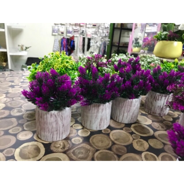 Lọ hoa nhỏ để bàn