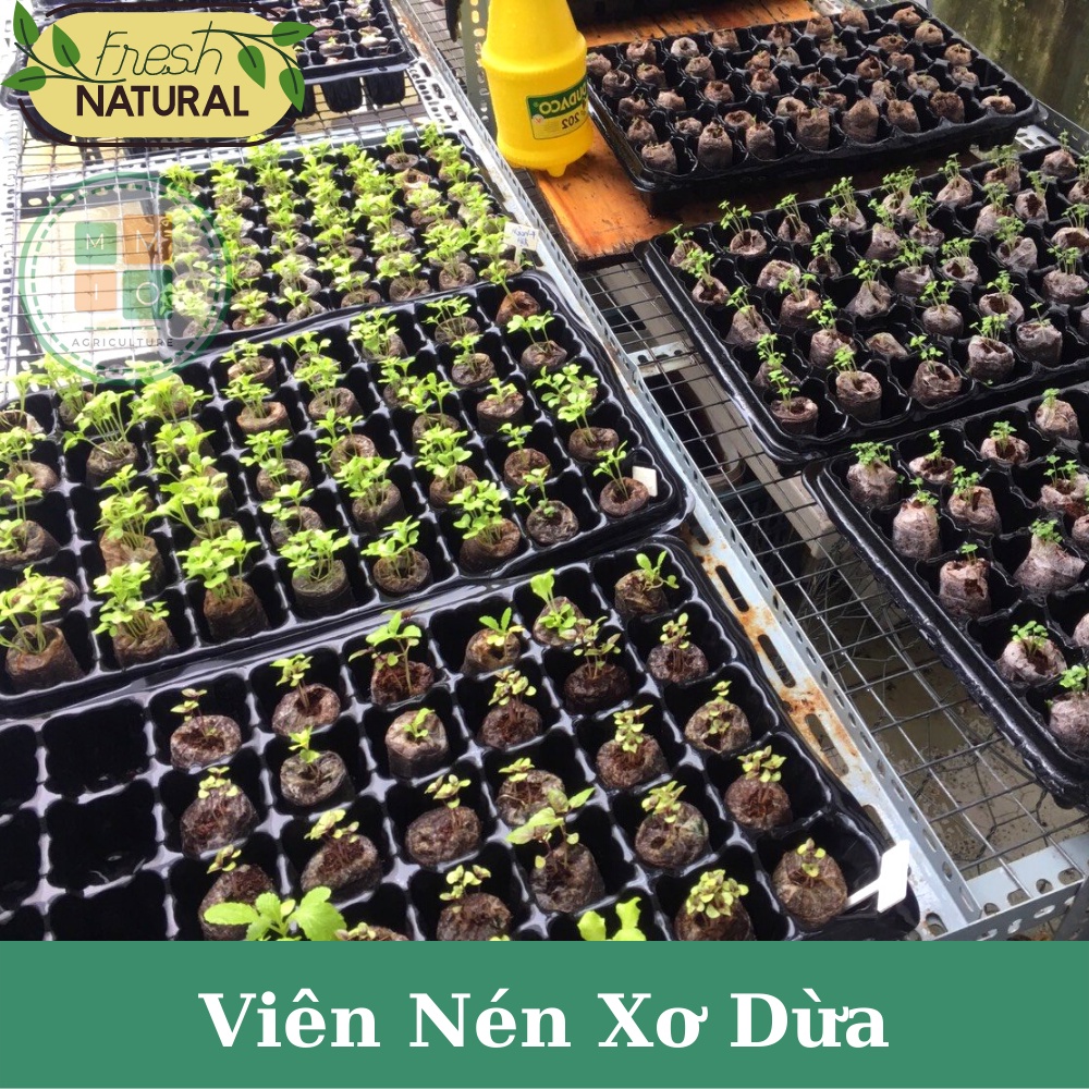 Combo viên nén xơ dừa ươm hạt giống cây trồng, giâm chiết cành siêu tiện lợi