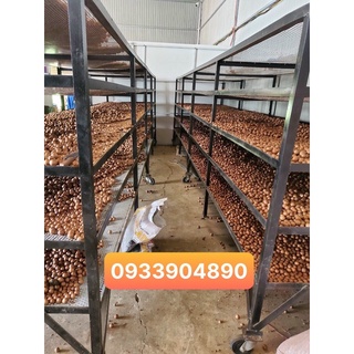 Hạt mắc ca ĐAKLAK sạch nhà trồng