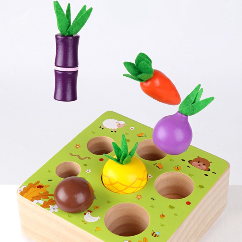 Loner Montessori Wooden Toys for 1- 2 Year Old Boys and Girls,Vegetables and Fruits Harvest Shape Size Sorting Puzzle STEM Edu