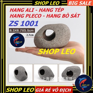 Hang cá ali ZS 1001 - hang pleco - trang trí bể tép - bể thủy sinh - hồ cá cảnh - biotop - bò sát