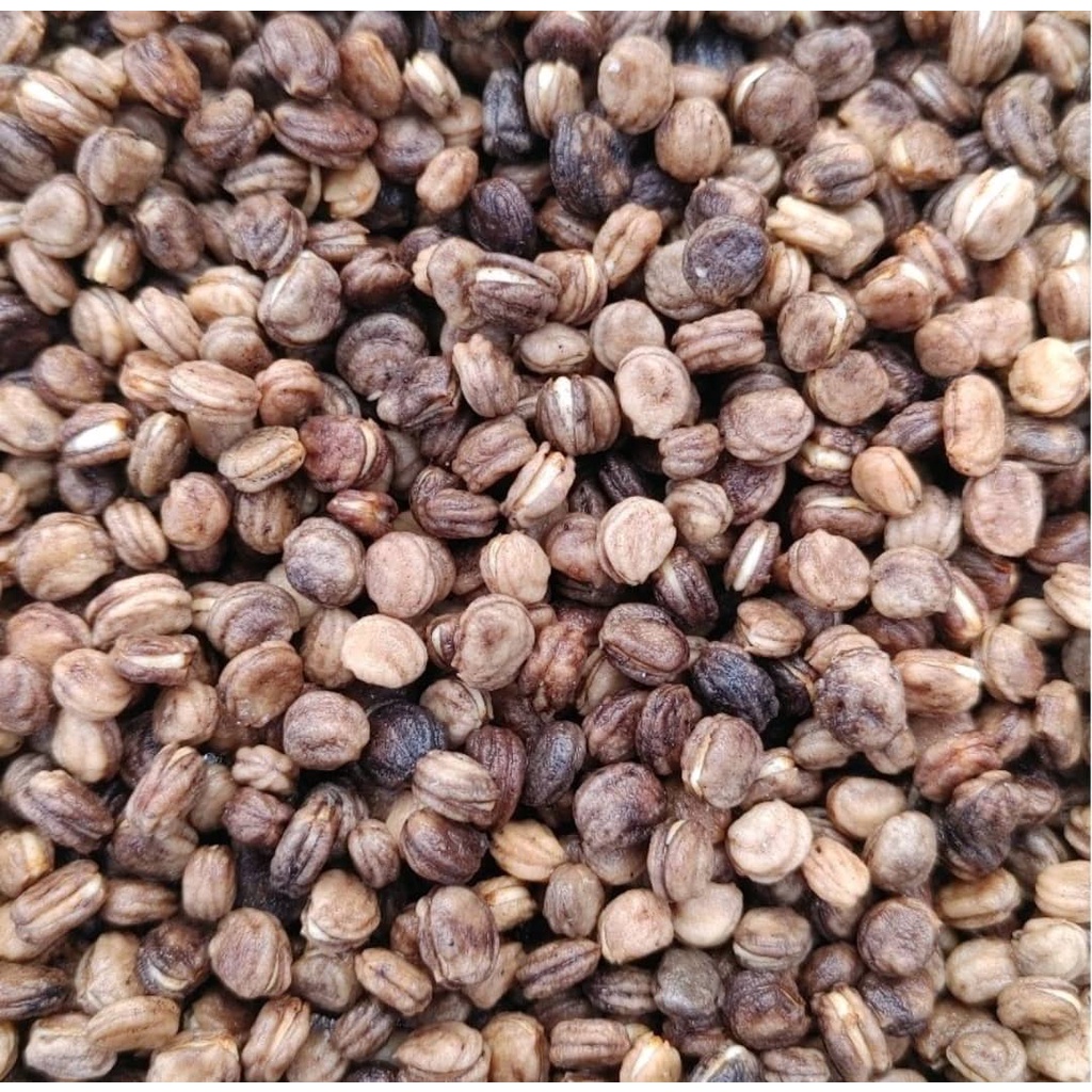 50 Hạt giống Nhân Sâm Hàn Quốc  0988 918 761