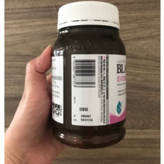 Hoa Anh Thảo Blackmores - Úc