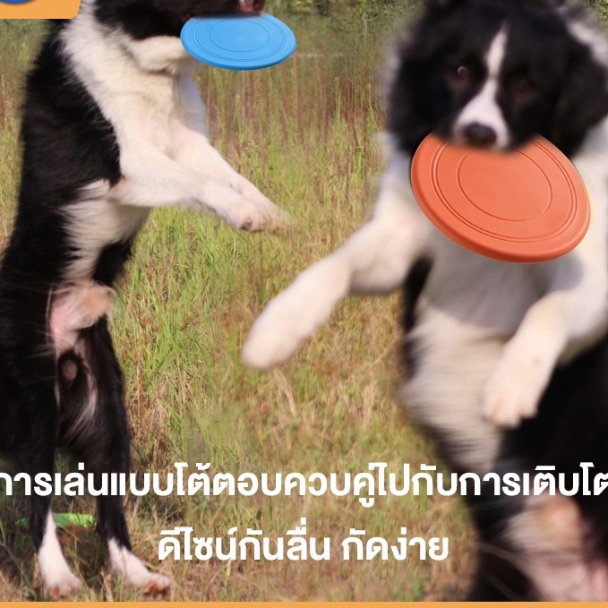 MASTI Đồ Chơi Đĩa Bay Đĩa Ném Cao Su Huấn Luyện Chó LI0398