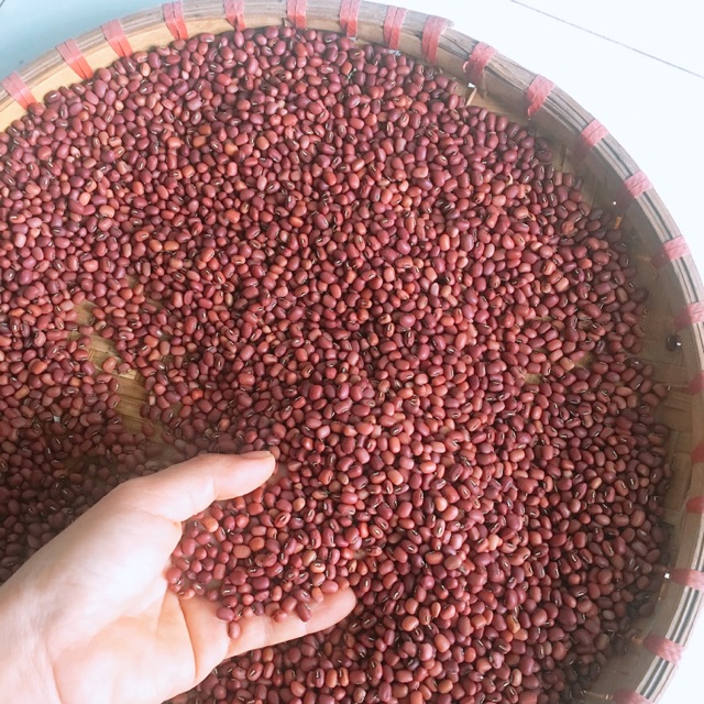 Đậu đỏ Đăk Lăk