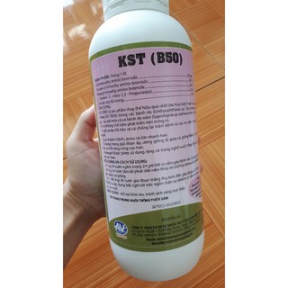 KST(B50) thay thế cho hóa chất Malachite green trị nấm trên cá