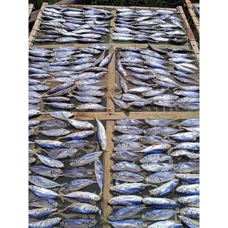 1kg cá nục (cá mu) luộc phơi khô Hà Tĩnh