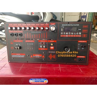 Mạch Loa Kéo Echo Reverb 500w 4 Tấc 5 Tấc Đơn Đôi 19x38
