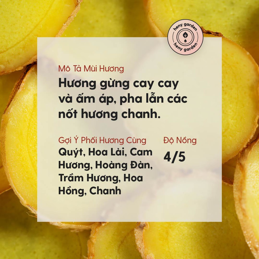 Tinh Dầu Gừng Heny Garden – Xông Phòng, Làm Nến Thơm, Nước Hoa Khô – Nguyên Chất 10ml – Tặng 3 Tinh Dầu Mẫu Thử