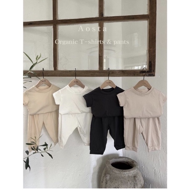 Áo trơn Aosta 2022