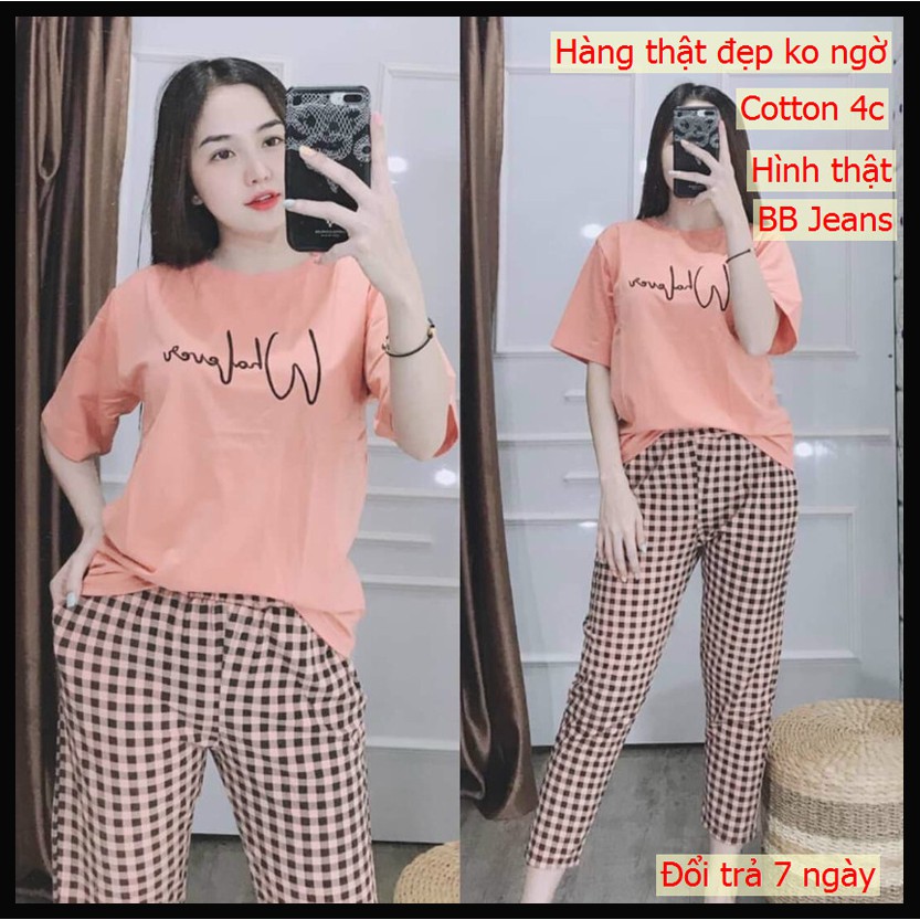 (Có bigsize tới 85kg) Đồ bộ, set đồ thun 3W quần dài dễ thương chất cotton đủ màu Chiwawa shop