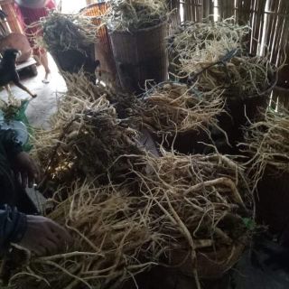 0,5 kg sâm dây khô