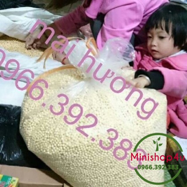 Vòng dâu tằm đựng túi zip kèm phiếu ghi công dụng 100% hạt dâu