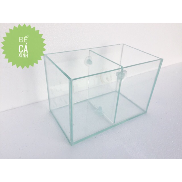 Bể cá mini ngăn đôi 25x14x16cm( vách ngăn có thể tháo lắp)