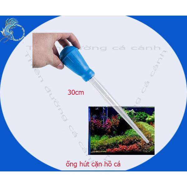 Ống hút cặn phân cho hồ cá cảnh 50ml và 30ml