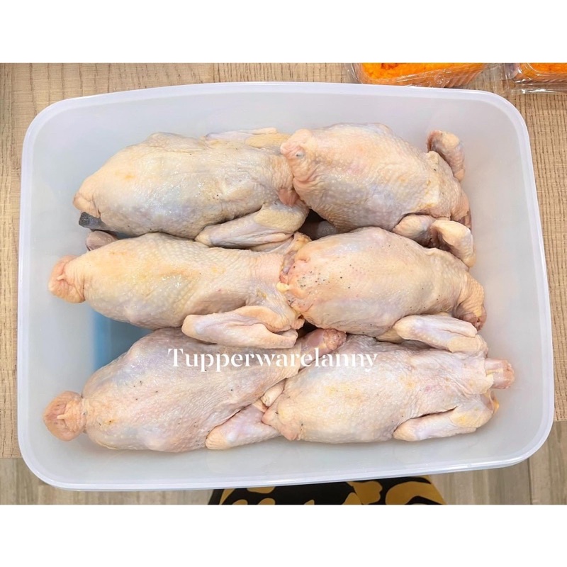 Tupperware - Hộp trữ đông freezermate 5.6l