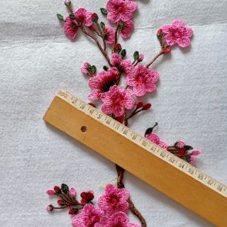 Hoa mai bộ 01