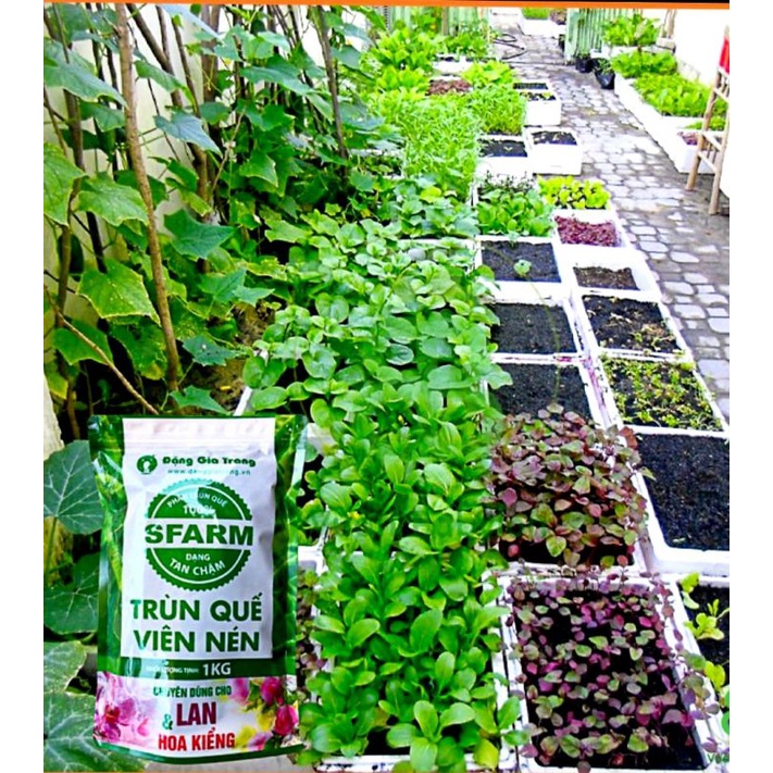 Phân Trùn Quế Cao Cấp SFARM 2Kg DùngĐể Trồng Rau Và Hoa