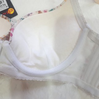 Áo lót mút mỏng  T2131-da