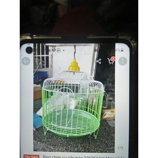 Lồng chim cu gáy size 32
