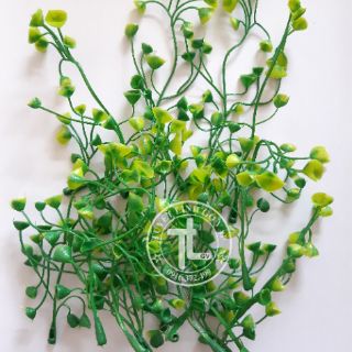 5 bịch hoa cỏ nhí trang trí  100k