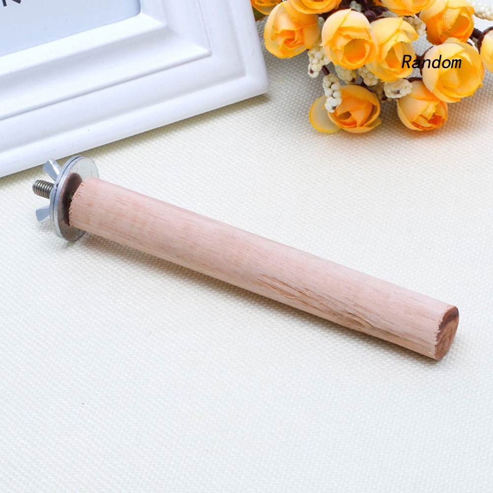 Cành Cây Gỗ Đứng Cho Lồng Chim Vẹt / Hamster