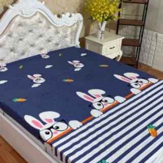 Ga cotton trải giường