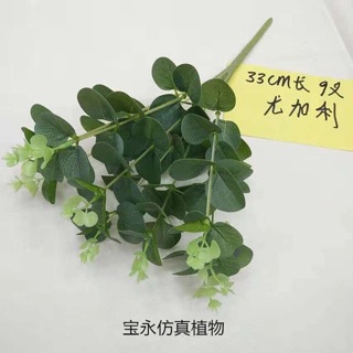 Cành lá mimosa giá sỉ HCM
