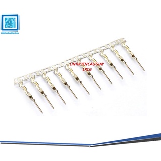 Lõi Header DuPont 2.54mm Đực (10 con)