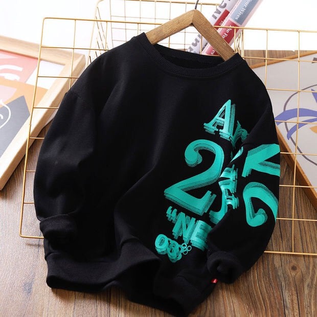 Áo nỉ hoodie cho bé từ 11 - 65kg mặc thu đông - A2 New